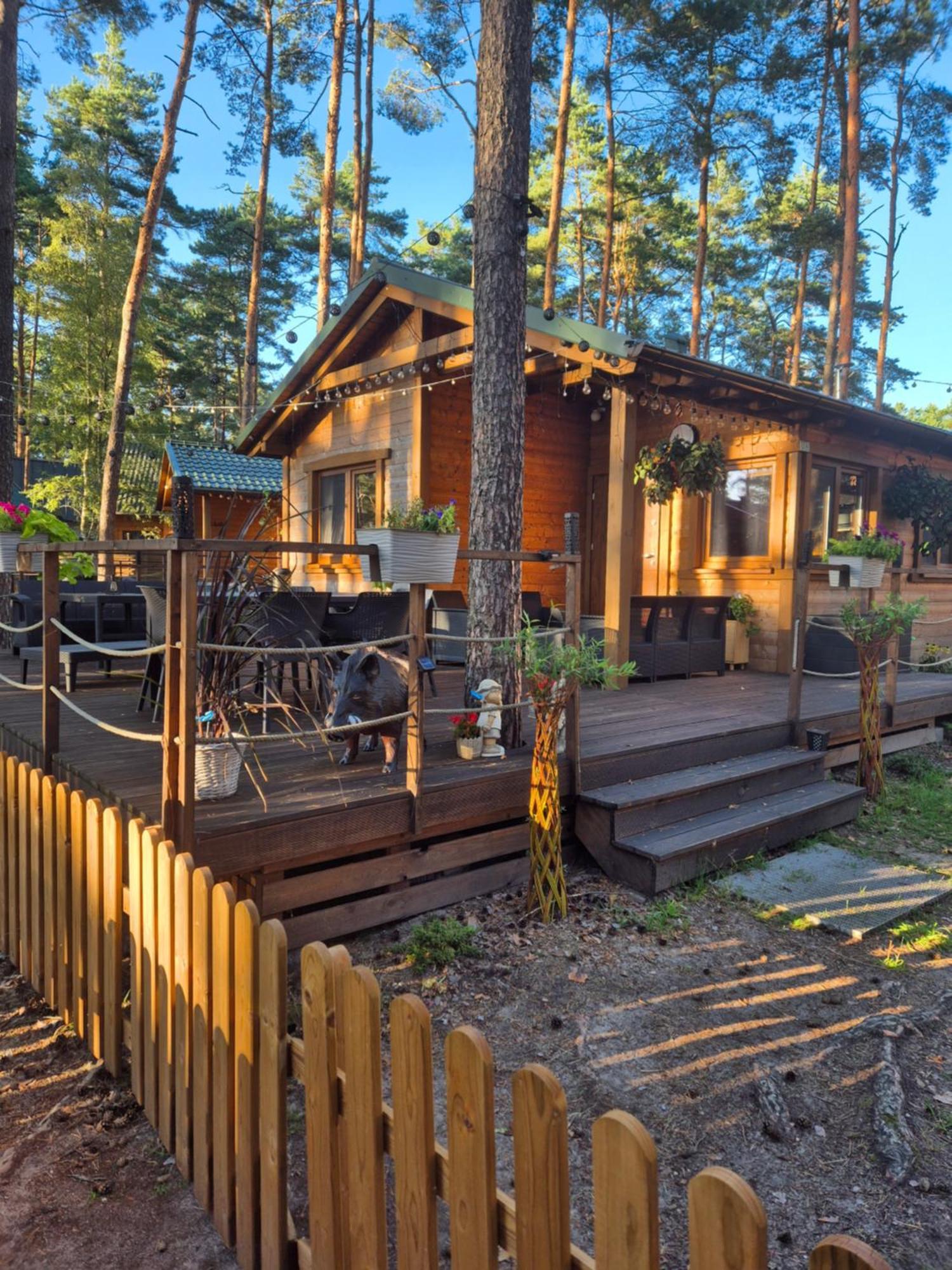 Dzik W Zagrodzie Hotel Borsk Exterior photo